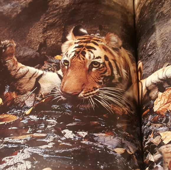 COLLECTOR'S EDITION 100 BEST PICTURES NAT GEO '02 - Picture 6 of 11